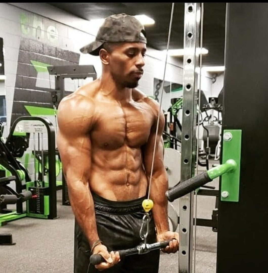 Online Training (6 months)