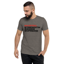 Load image into Gallery viewer, MSRS Slogan Anniversary tee (grey)